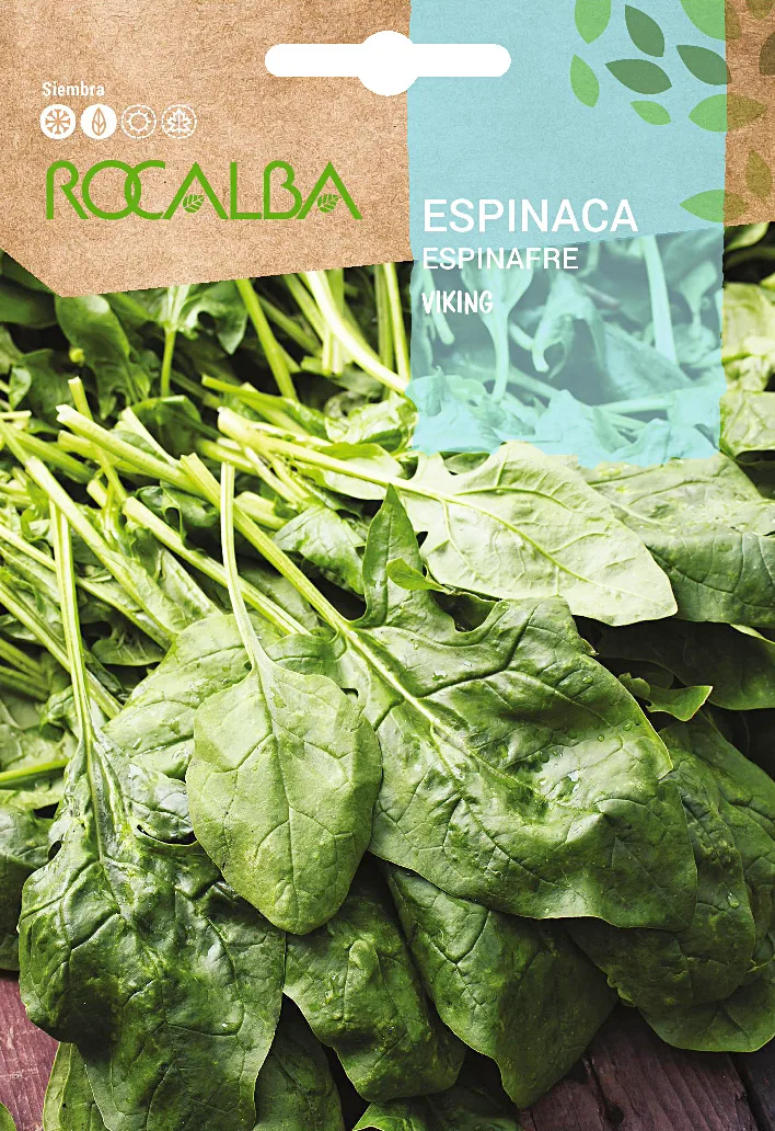 Semilla Espinaca Viking