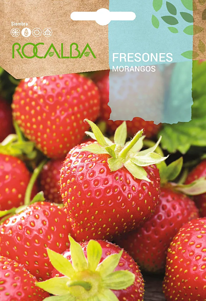 Semilla Freson