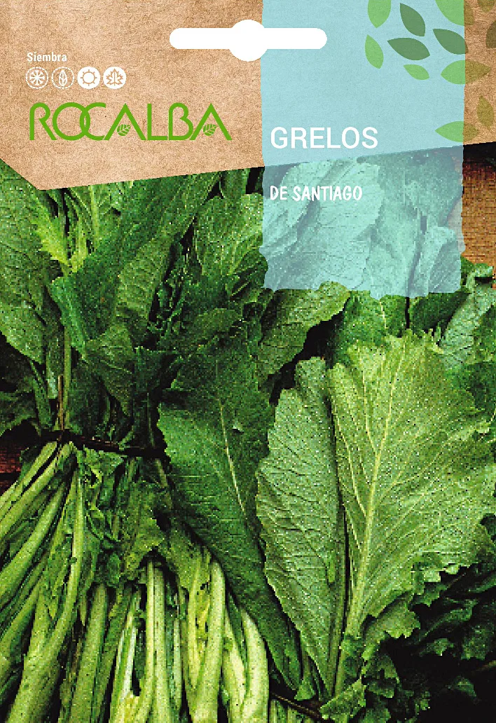 Semilla Nabo Grelo de Santiago 30 Gr