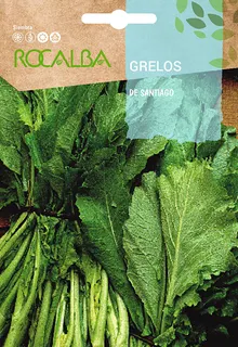 Semilla Nabo Grelo de Santiago 30 Gr
