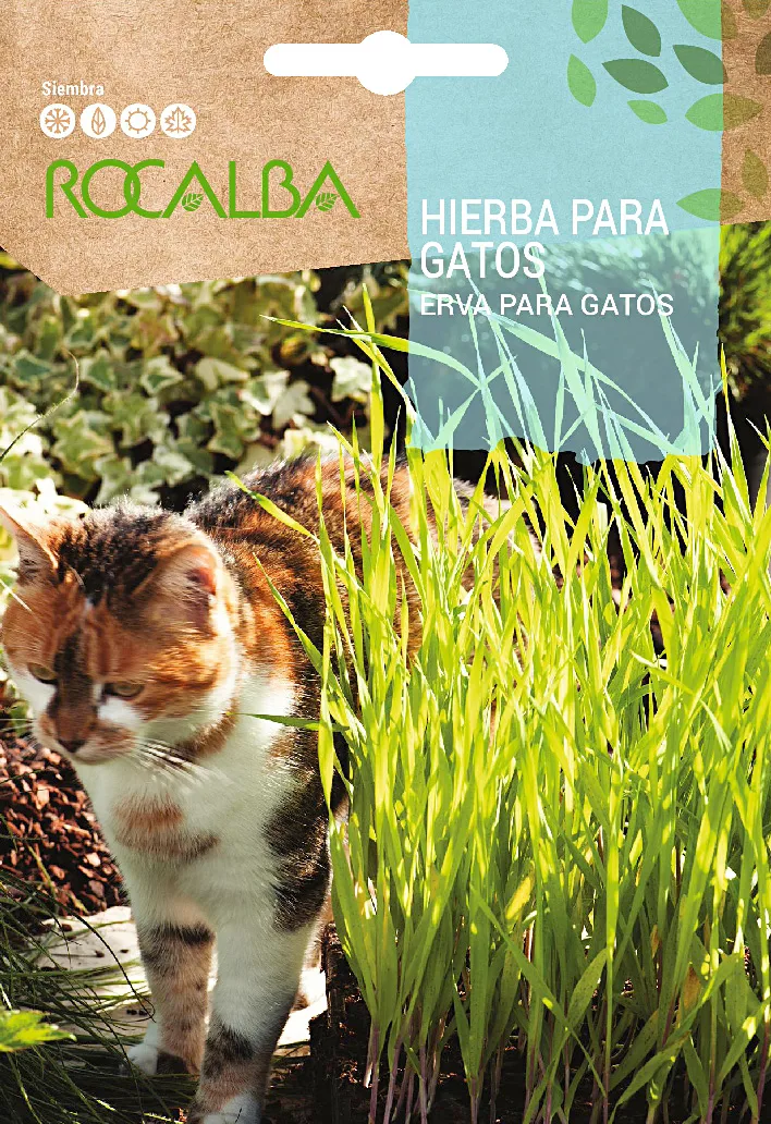 Semilla Hierba para Gatos