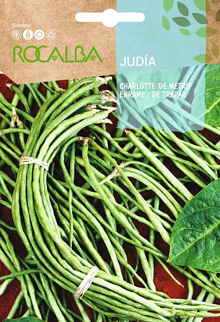 Semilla Judia Charlotte — foto principal