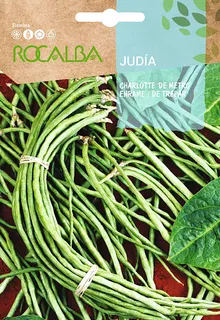 Semilla Judia Charlotte