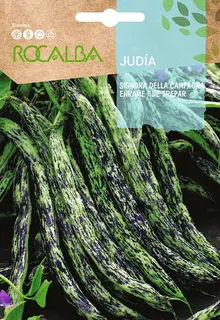 Semilla Judia Signora Della Campagna