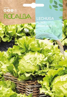 Semilla Lechuga Grandes Lagos 118