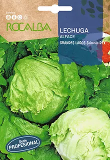 Semilla Profesional Lechuga Grandes Lagos Seleccion Dex