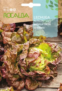 Semilla Lechuga Maravilla Cuatro Estaciones