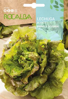 Semilla Lechuga Maravilla de Verano