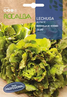 Semilla Lechuga Maravilla de Verano Silure