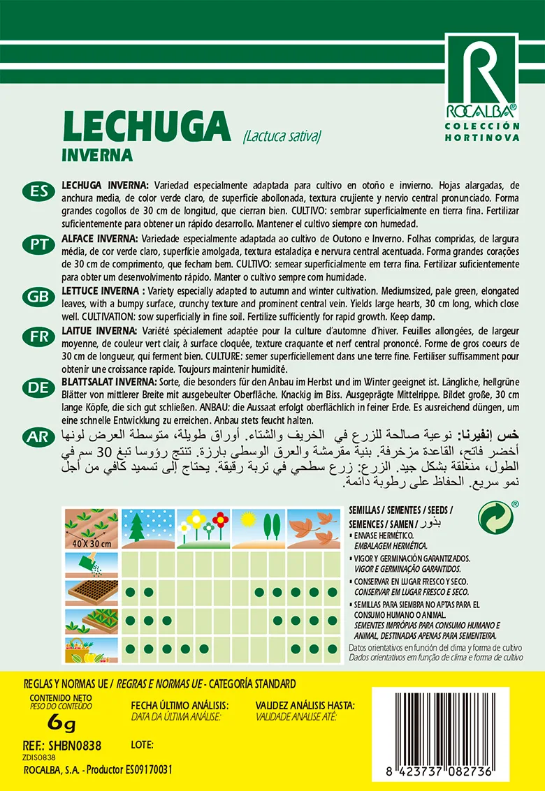 Semilla Lechuga Romana Inverna — foto 2