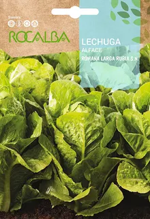 Semilla Lechuga Romana Larga Rubia