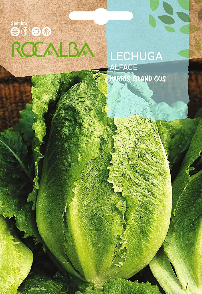 Semilla Lechuga Romana Parris Island