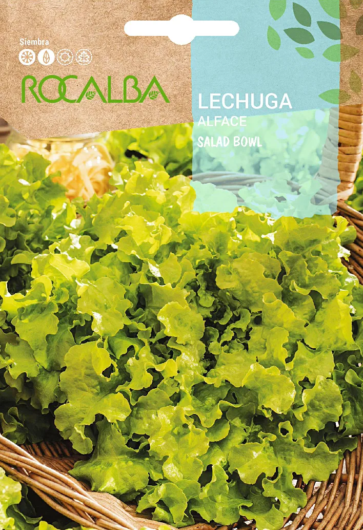 Semilla Lechuga Salad Bowl — foto principal