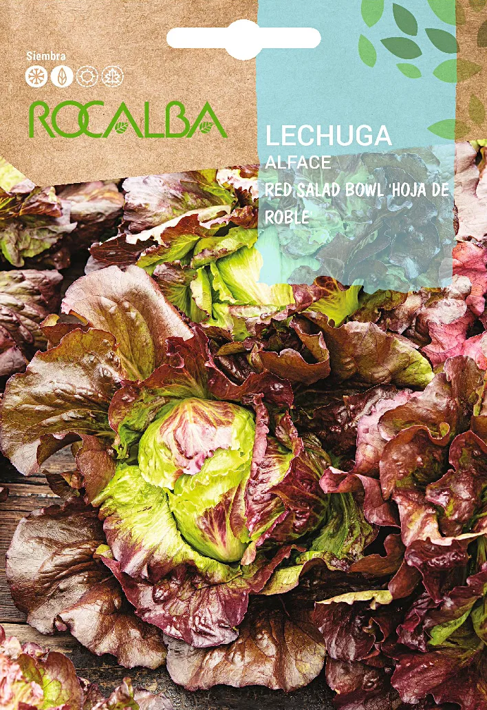 Semilla Lechuga Salad Bowl Rossa Hoja de Roble