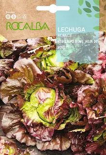 Semilla Lechuga Salad Bowl Rossa Hoja de Roble