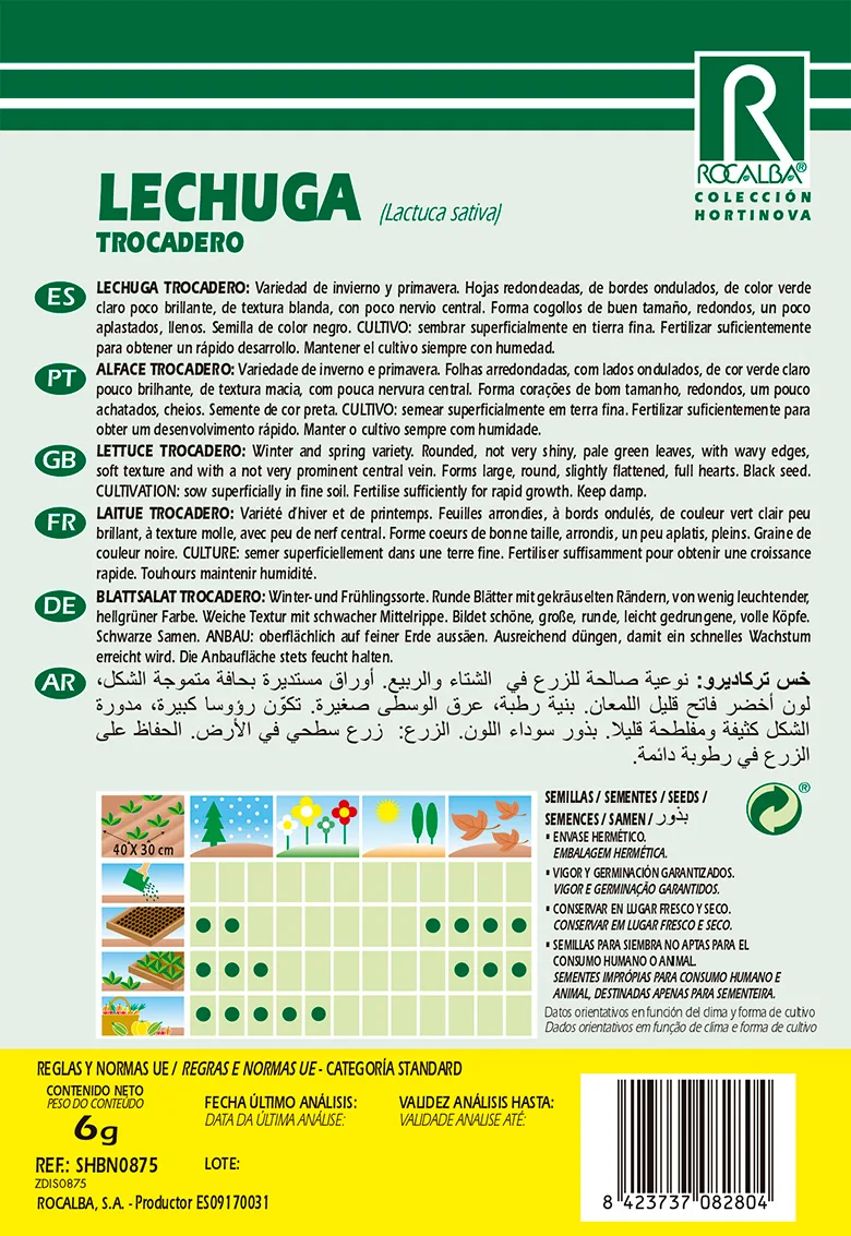 Semilla Lechuga Trocadero — foto 2
