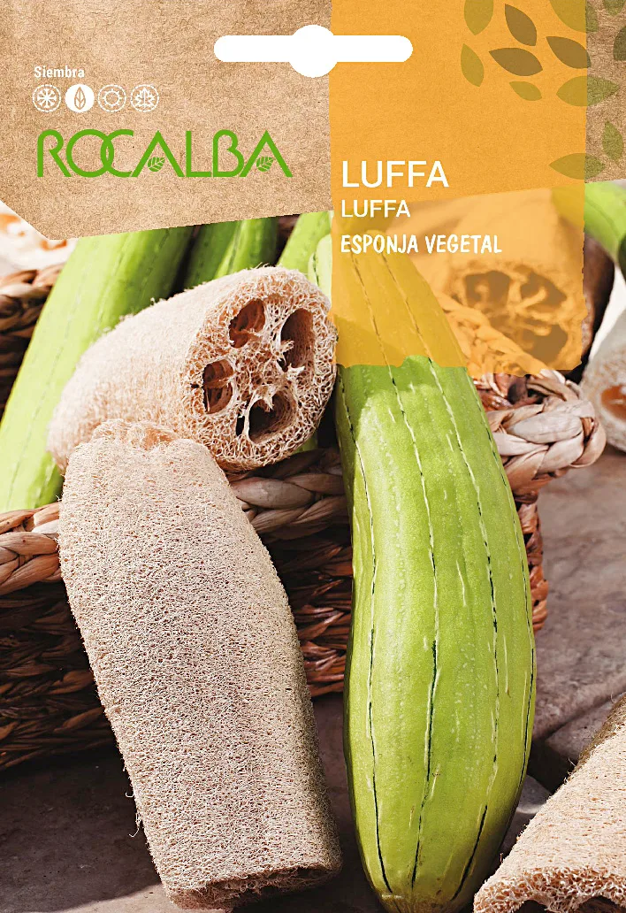 Semilla Luffa Esponja Vegetal 3 gr — foto principal
