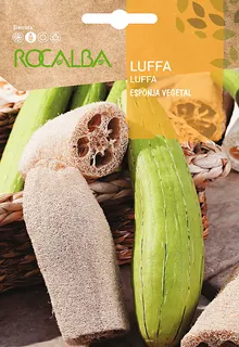 Semilla Luffa Esponja Vegetal 3 gr
