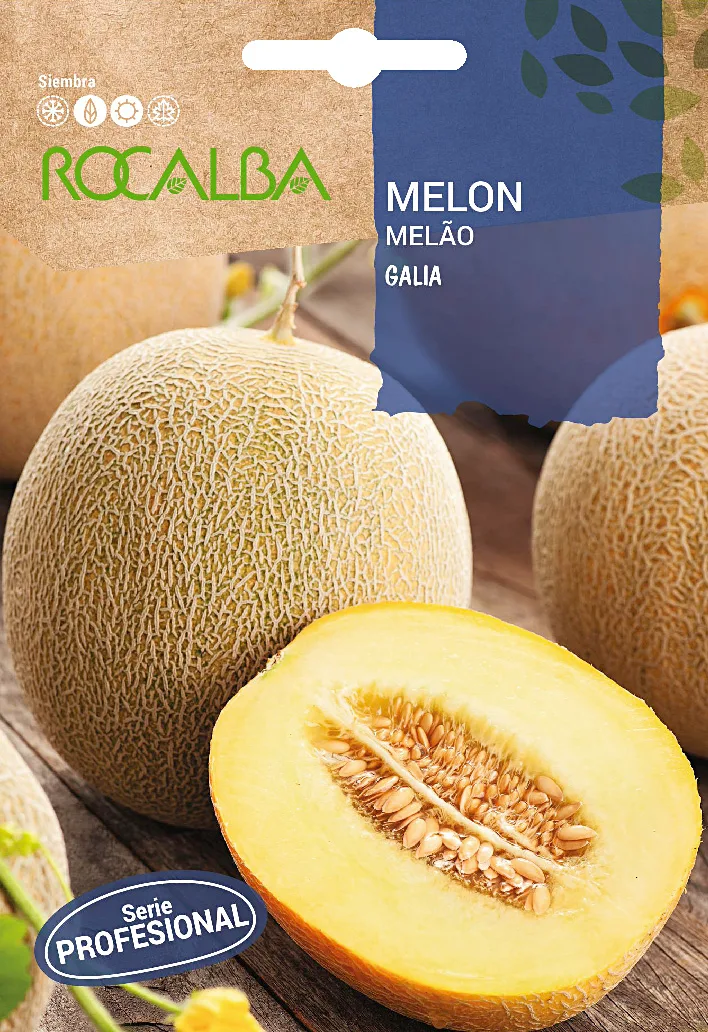 Semilla Profesional Melon Hibrido F1 Galia