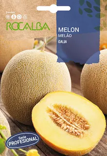 Semilla Profesional Melon Hibrido F1 Galia