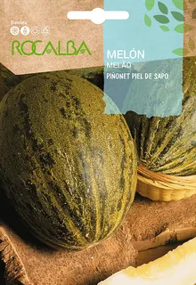 Semilla Melon Piñolet Piel de Sapo