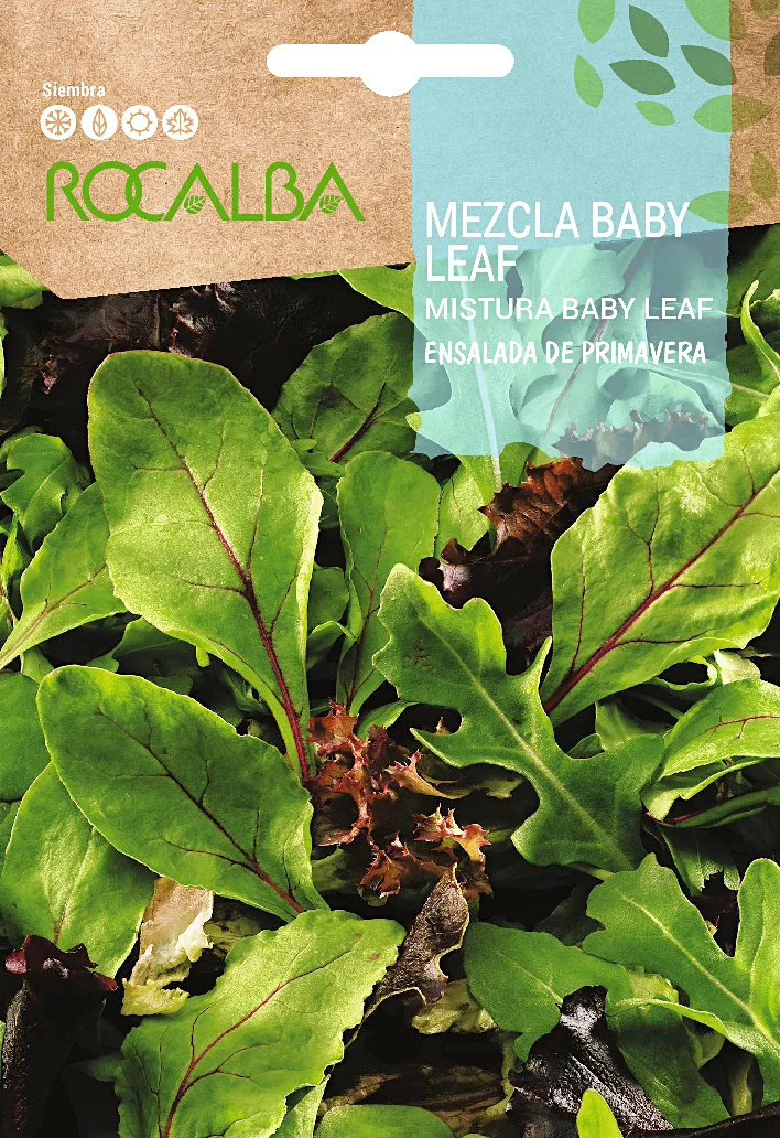 Semilla Mezcla Baby Leaf- Ensalada de Primavera — foto principal