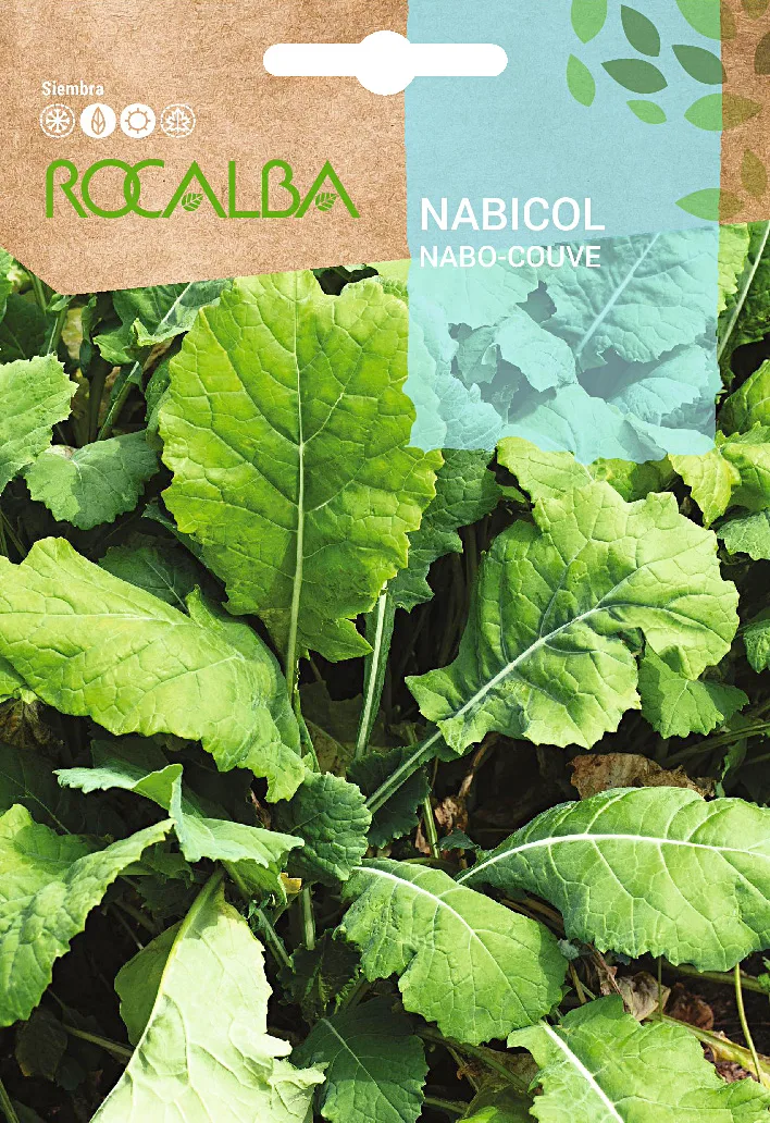 Semilla Nabicol