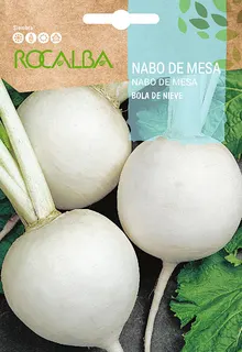 Semilla Nabo de Mesa Bola de Nieve
