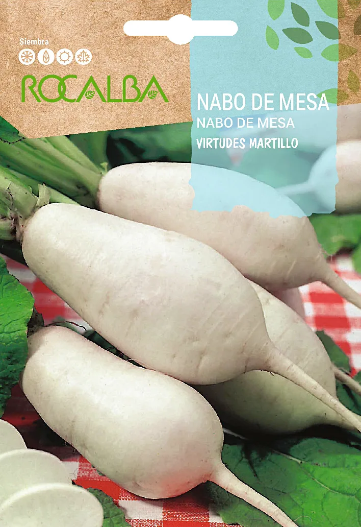 Semilla Nabo de Mesa Virtudes Martillo