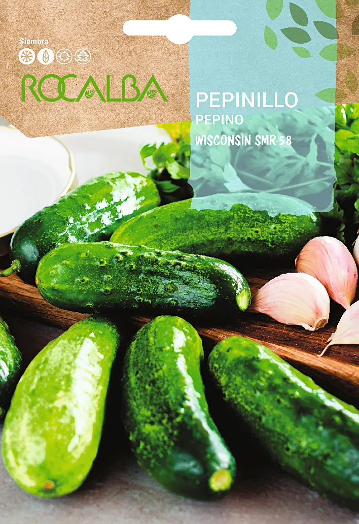 Semilla Pepinillo Wisconsin Smr 58 — foto principal