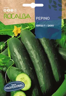 Semilla Profesional Pepino Hibrido F1 Sagro