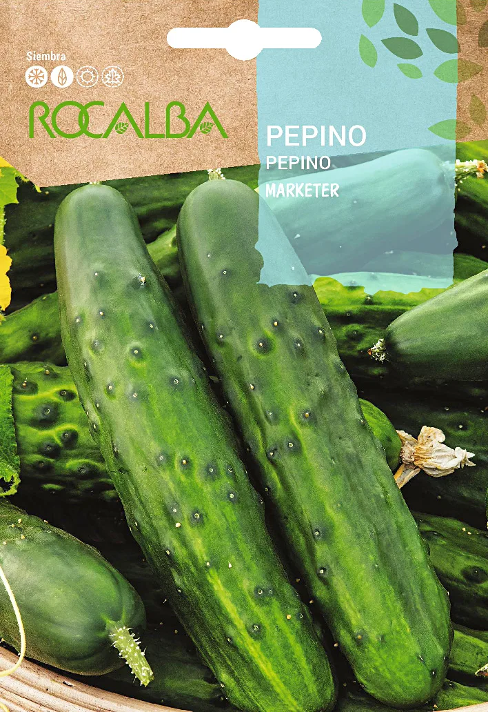 Semilla Pepino Marketer 6 gr
