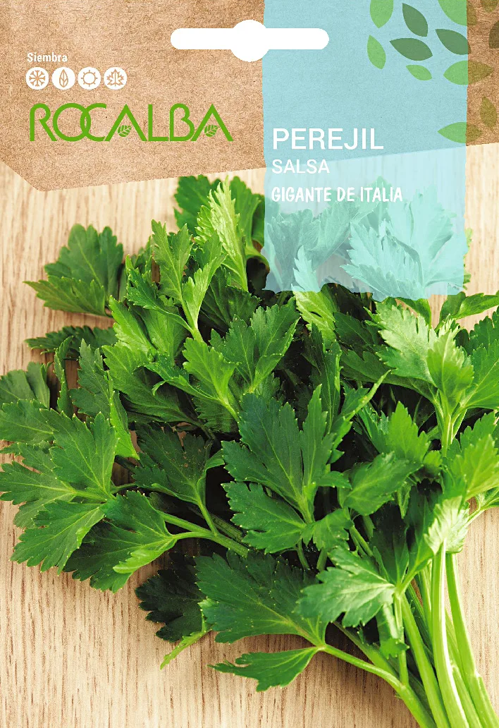Semilla Perejil Gigante de Italia