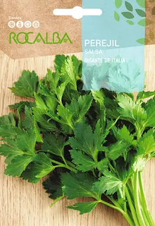Semilla Perejil Gigante de Italia