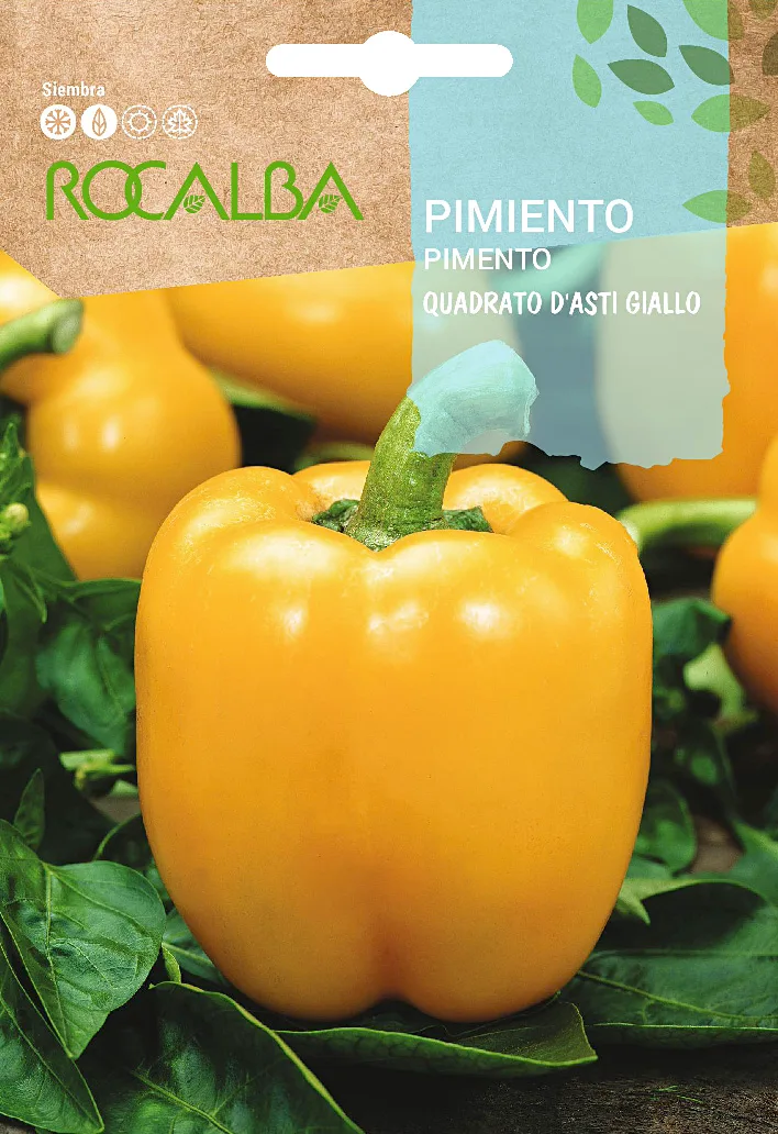 Semilla Pimiento Cuadrato Dasti Giallo