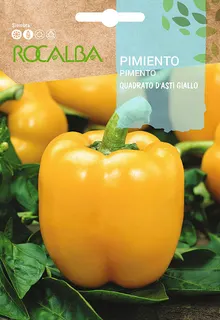 Semilla Pimiento Cuadrato Dasti Giallo