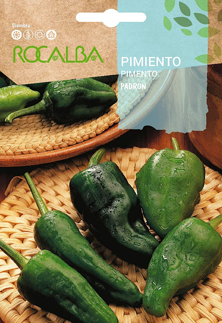 Semilla Pimiento Padron