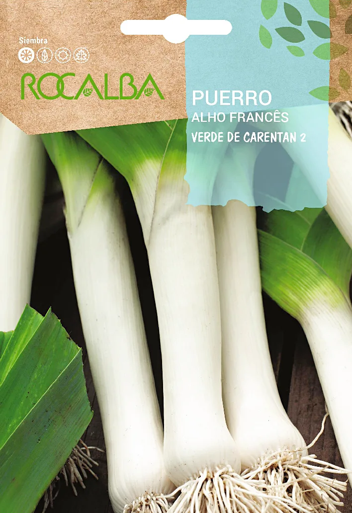 Semilla Puerro Verde de Carentan 2