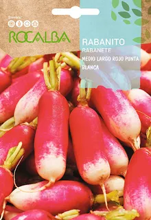 Semilla Rabanito Medio Largo Rojo Punta blanca