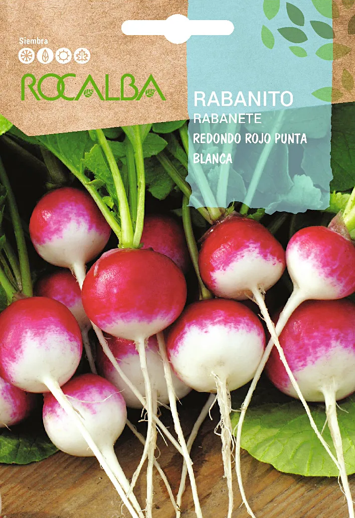 Semilla Rabanito Redondo Rojo Punta blanca
