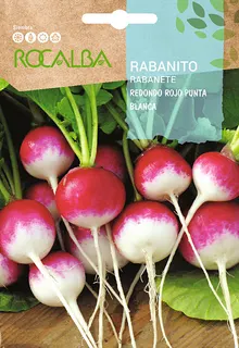 Semilla Rabanito Redondo Rojo Punta blanca