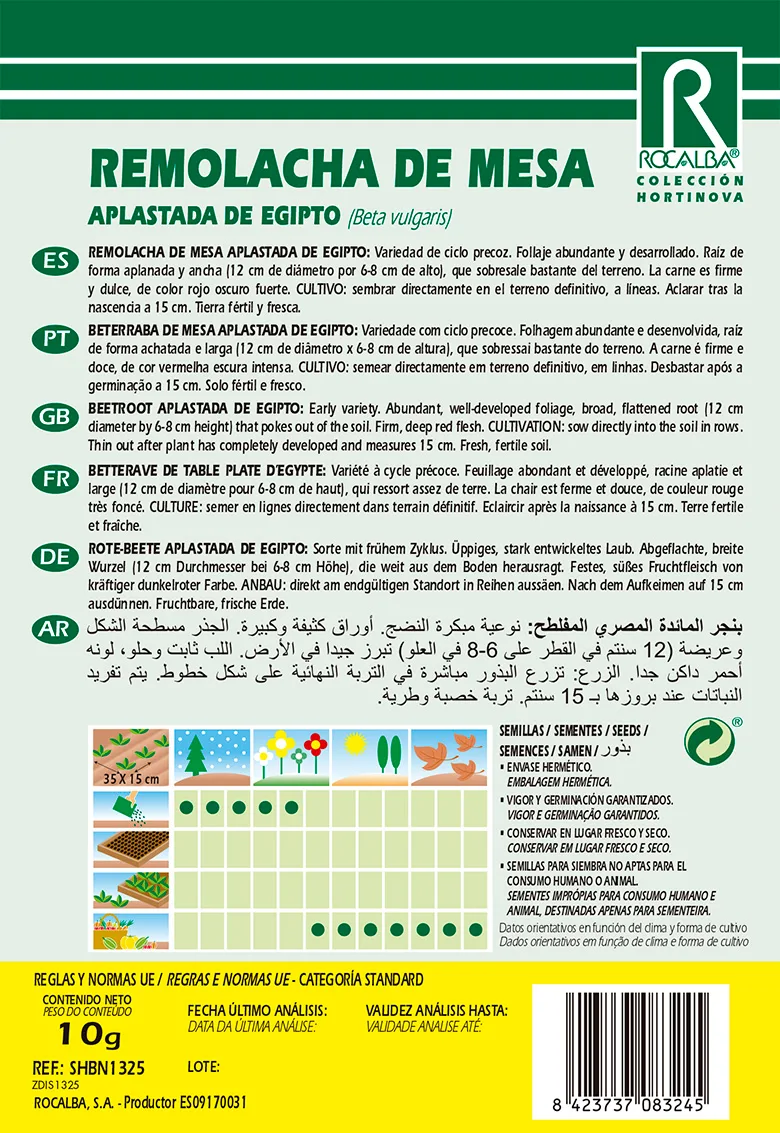 Semilla Remolacha de Mesa Aplastada de Egipto — foto 2
