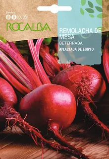 Semilla Remolacha de Mesa Aplastada de Egipto