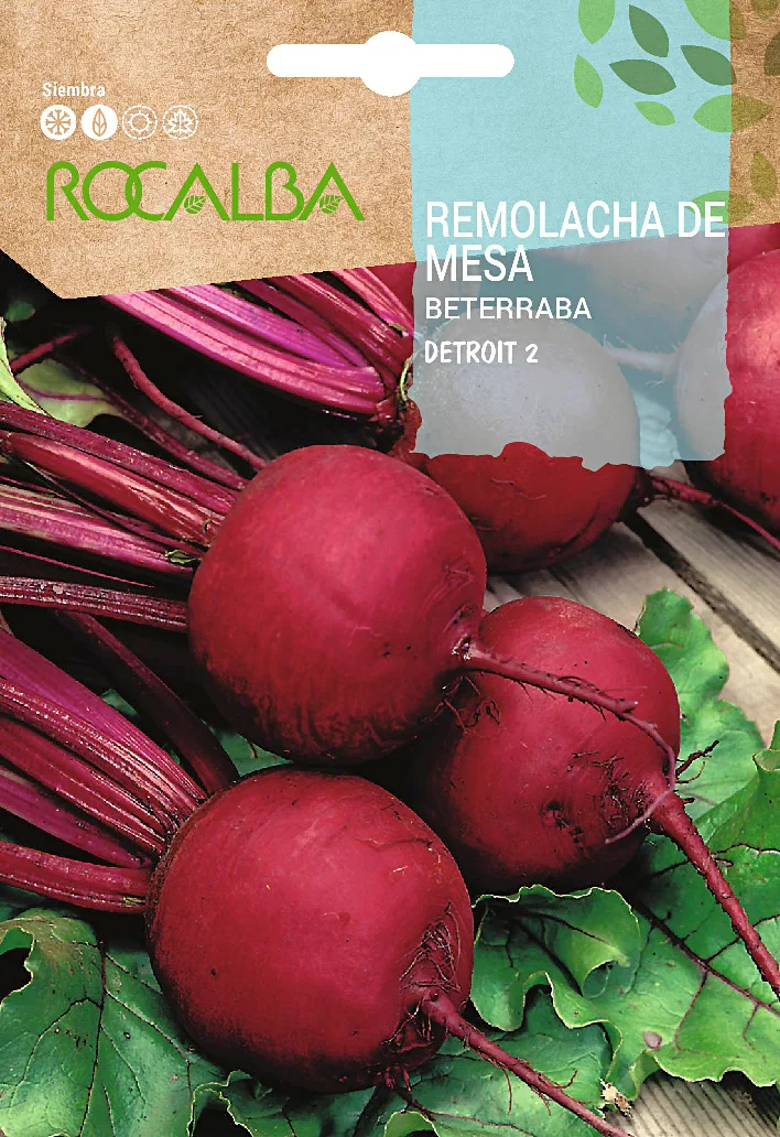 Semilla Remolacha de Mesa Detroit 2 — foto principal