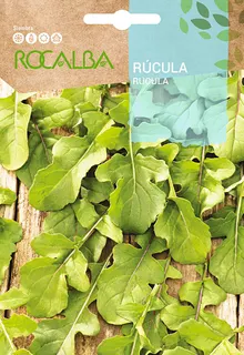 Semilla Rucula