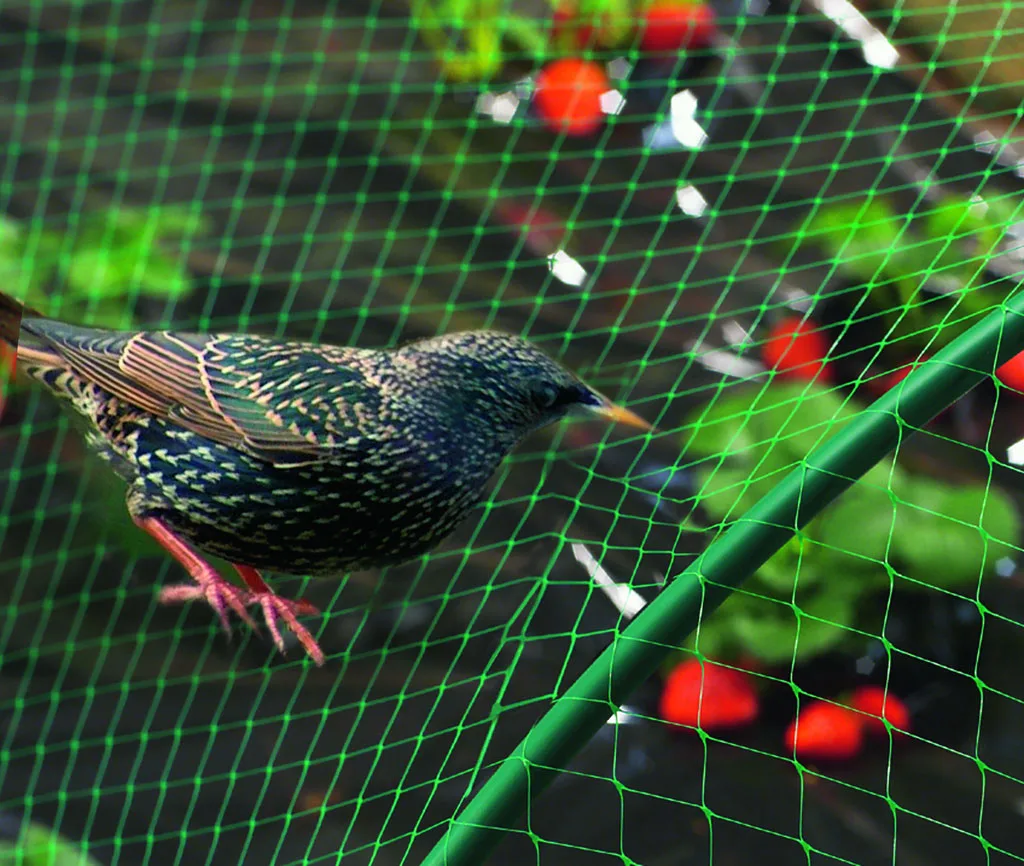 Malla Antipajaros Birdnet 2x5 metros — foto 2