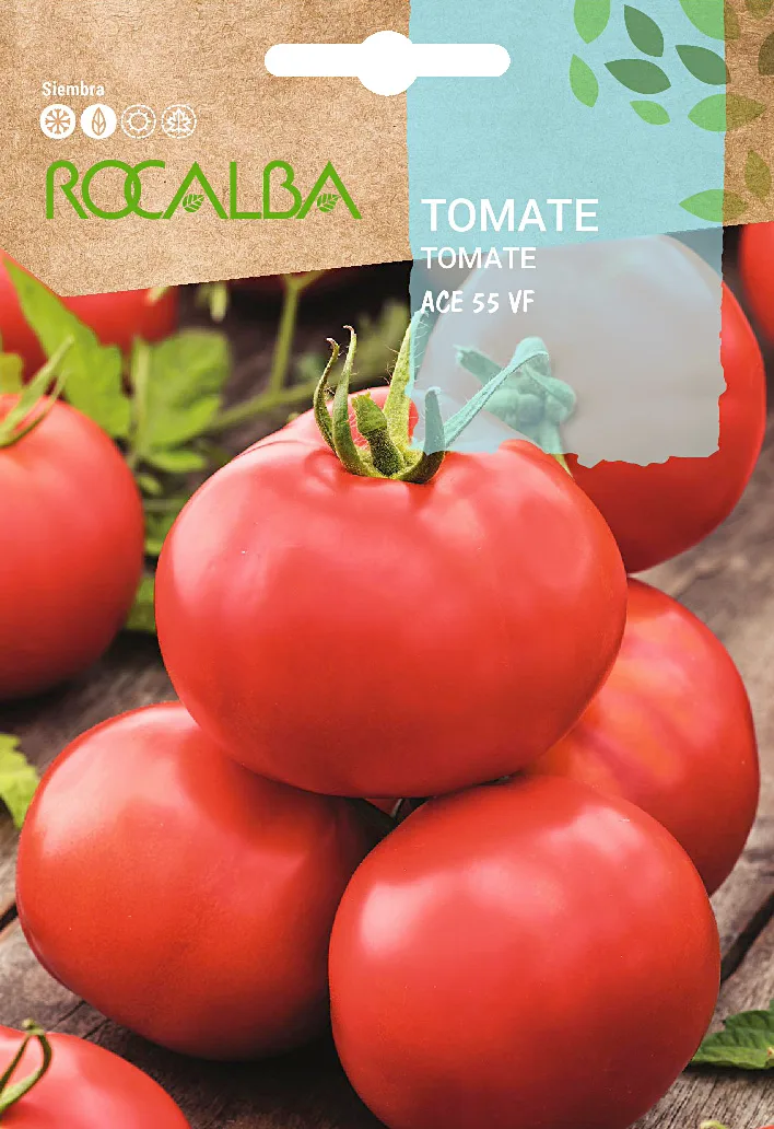 Semilla Tomate Ace 55 Vf