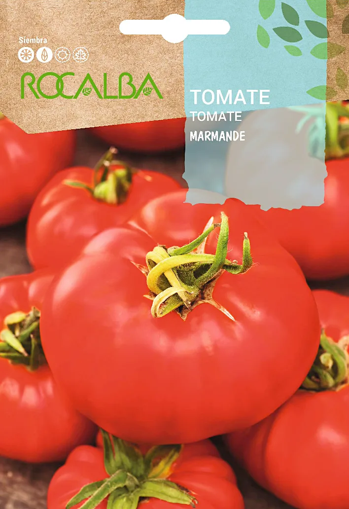 Semilla Tomate Marmande — foto principal