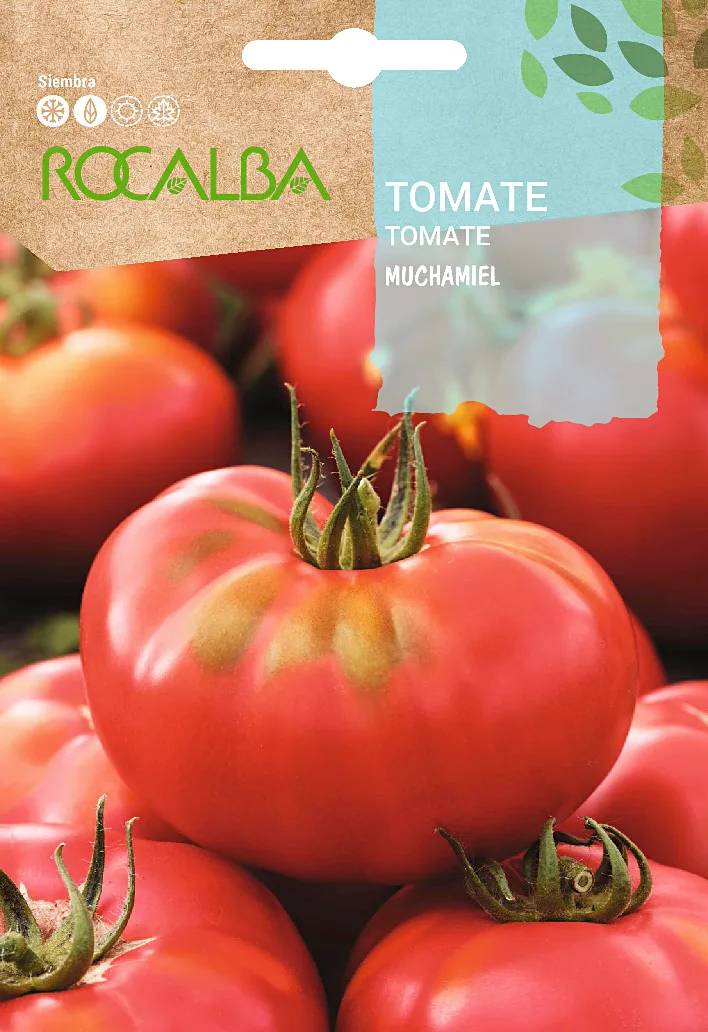 Semilla Tomate Muchamiel