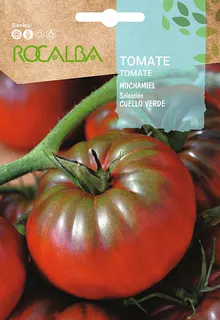 Semilla Tomate Muchamiel Seleccion Cuello Verde